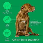 Dna My Dog Essential Test