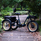 SILVERADO 20 48V/14AH 750W Folding Electric Tricycle with Wide Tires, 150 kg (96817362)