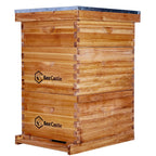 BeeCastle 10 Frame Langstroth Bee Hive Coated