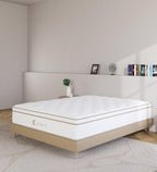 KOANTTI 12 Inch Medium Firm Memory Foam Mattresse