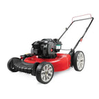 Hand lawnmower with Briggs & Stratton engine