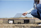 2025 Rugged Ranch Squirrelinator 2 Door Small Metal Wire Multi-Catch Live Animal Squirrel Catch & Release Cage Trap for Pest Control  Black