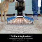 Shark CarpetXpert EX201 Carpet Cleaner, Cyan – Deep Cleaning with StainStriker, Perfect for Pets, Includes Spot & Stain Remover Tools