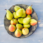 Pear Tree 'Ayers'