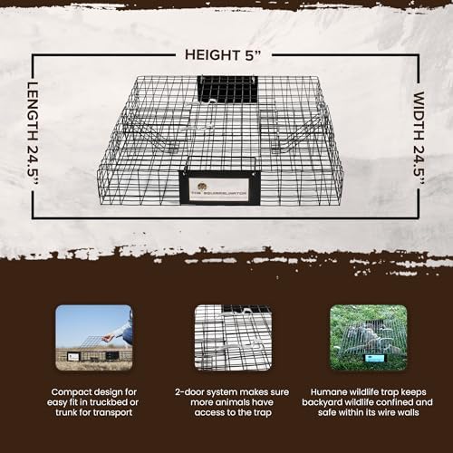 2025 Rugged Ranch Squirrelinator 2 Door Small Metal Wire Multi-Catch Live Animal Squirrel Catch & Release Cage Trap for Pest Control  Black