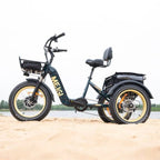 SILVERADO 20 48V/14AH 750W Folding Electric Tricycle with Wide Tires, 150 kg (96817362)