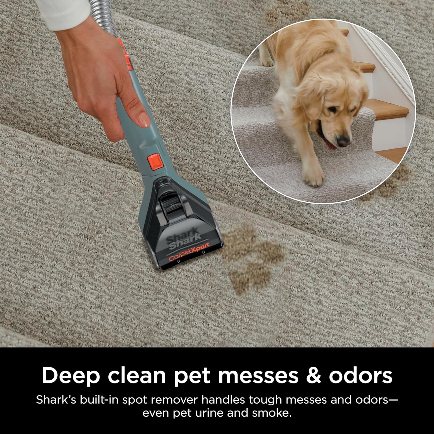 Shark CarpetXpert EX201 Carpet Cleaner, Cyan – Deep Cleaning with StainStriker, Perfect for Pets, Includes Spot & Stain Remover Tools