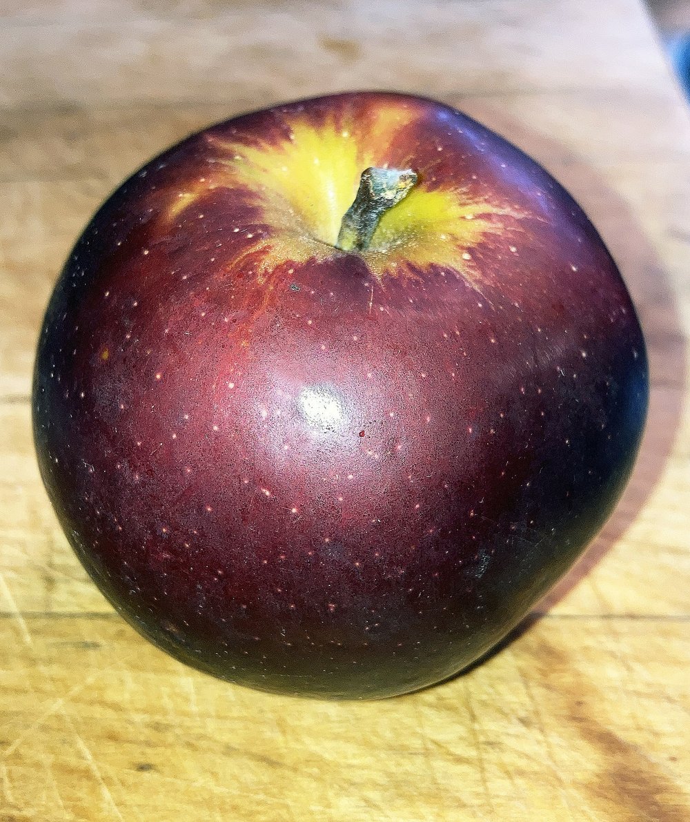 Apple Tree 'Arkansas Black'