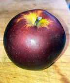 Apple Tree 'Arkansas Black'