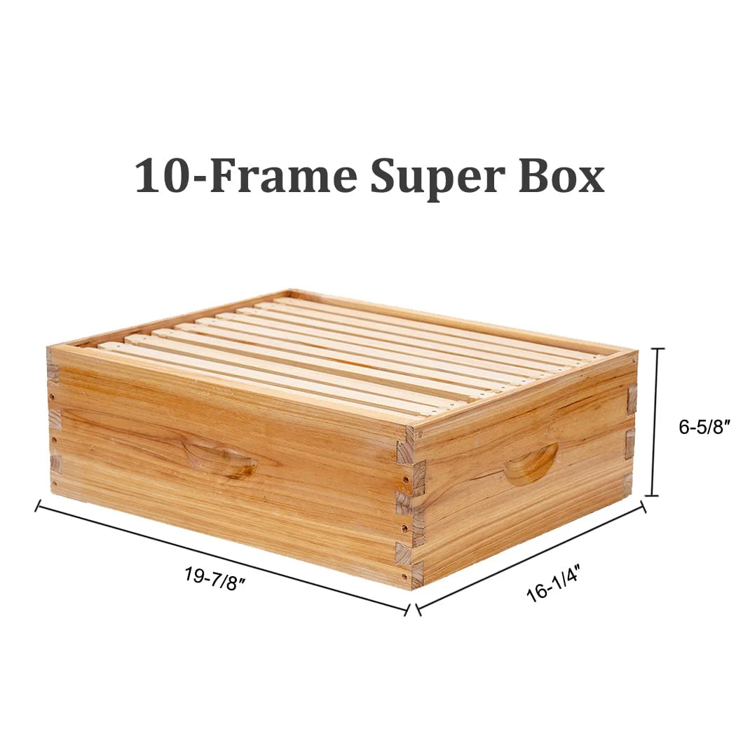 BeeCastle 10 Frame Langstroth Bee Hive Coated