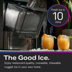 GE Profile Opal 2.0 with 0.75 Gallon Tank, Chewable Crunchable Countertop Nugget Ice Maker, Scoop included, 38 lbs in 24 hours, Pellet Ice Machine with WiFi & Smart Connected, Stainless Steel