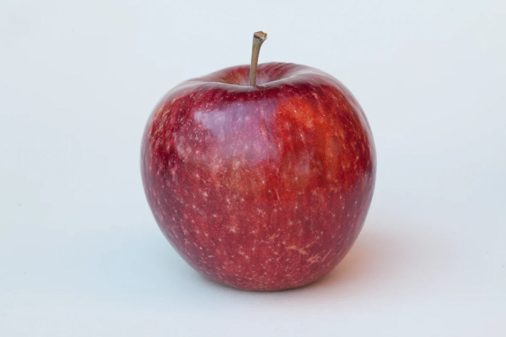 Apple Tree 'Frost Bite'
