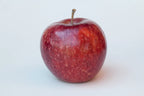 Apple Tree 'Frost Bite'