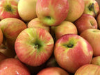 Apple Tree 'Honeycrisp'
