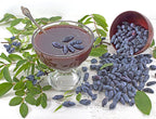 Honeyberry 'Indigo Treat' Haskap